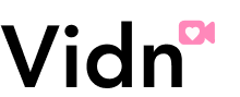 Vidn Logo